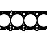 810020017
