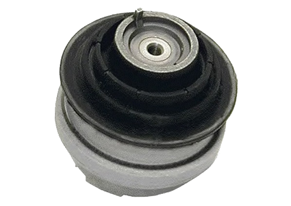 810195024