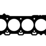 895020004